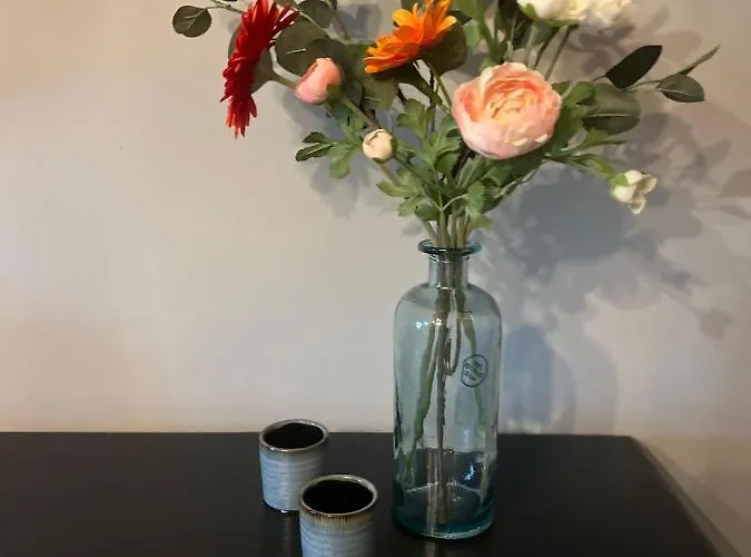 Casa Fuori Apartament